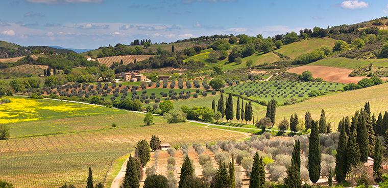 Chianti countryside