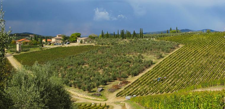 Private Chianti Classico Tour with Wine and Food Tasting