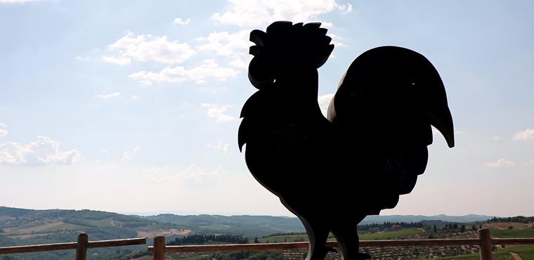 The taste of Gallo Nero wine Chianti