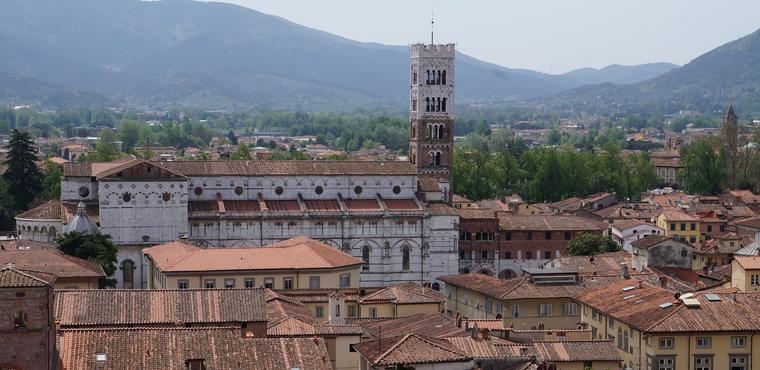 Guinigi tower, Lucca