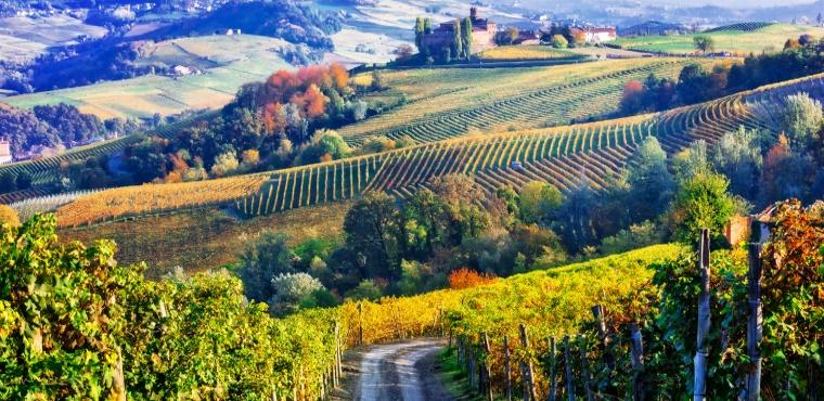 Chianti countryside