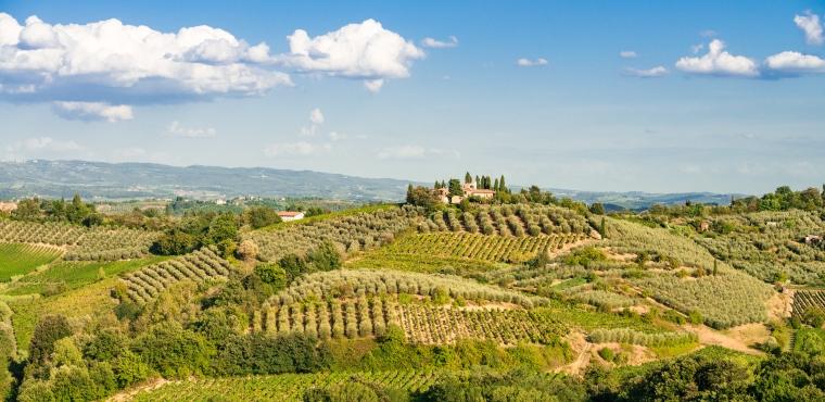 Highlights of Chianti in Tuscany